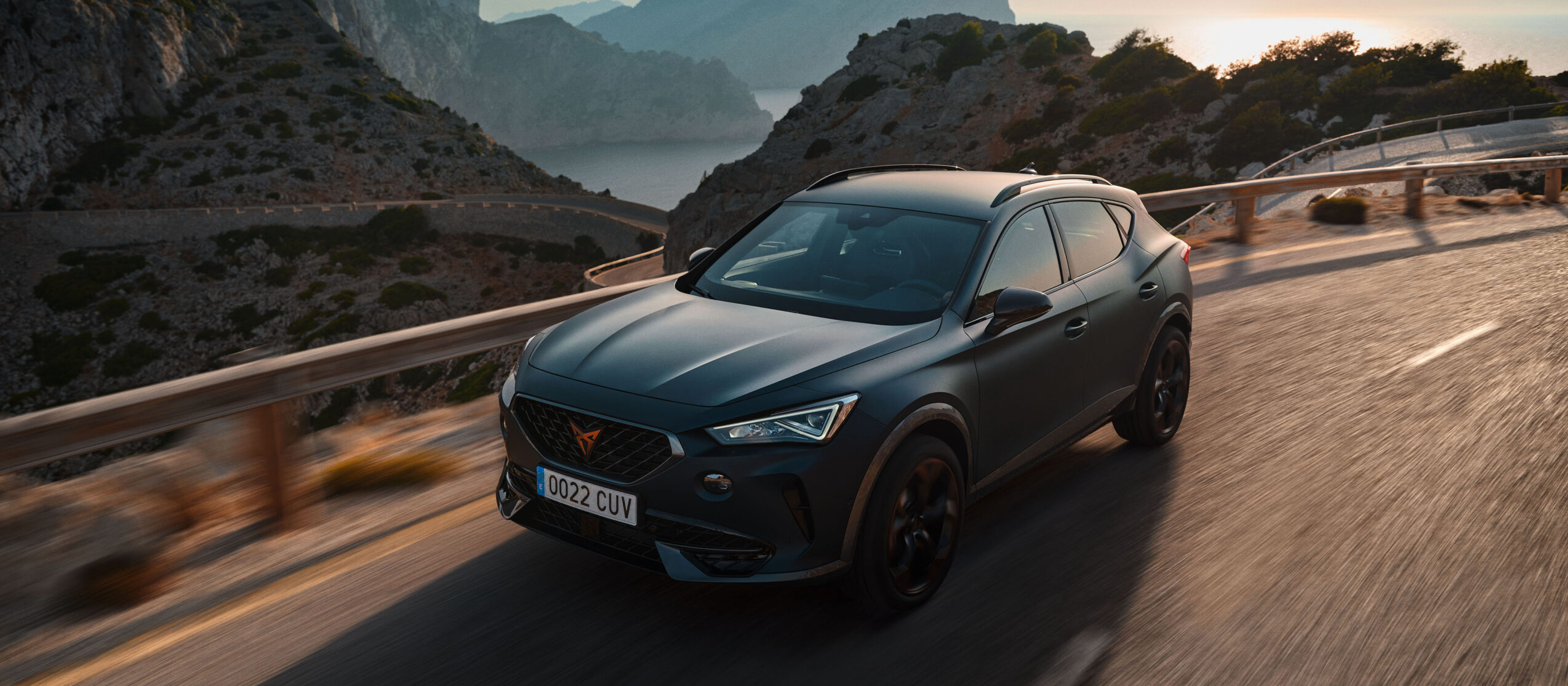 CUPRA NUMBER PLATES img